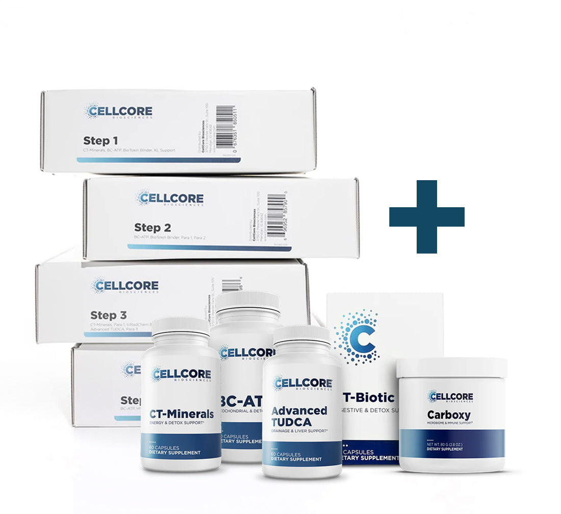 Foundation Mold Protocol + Total Body Detox